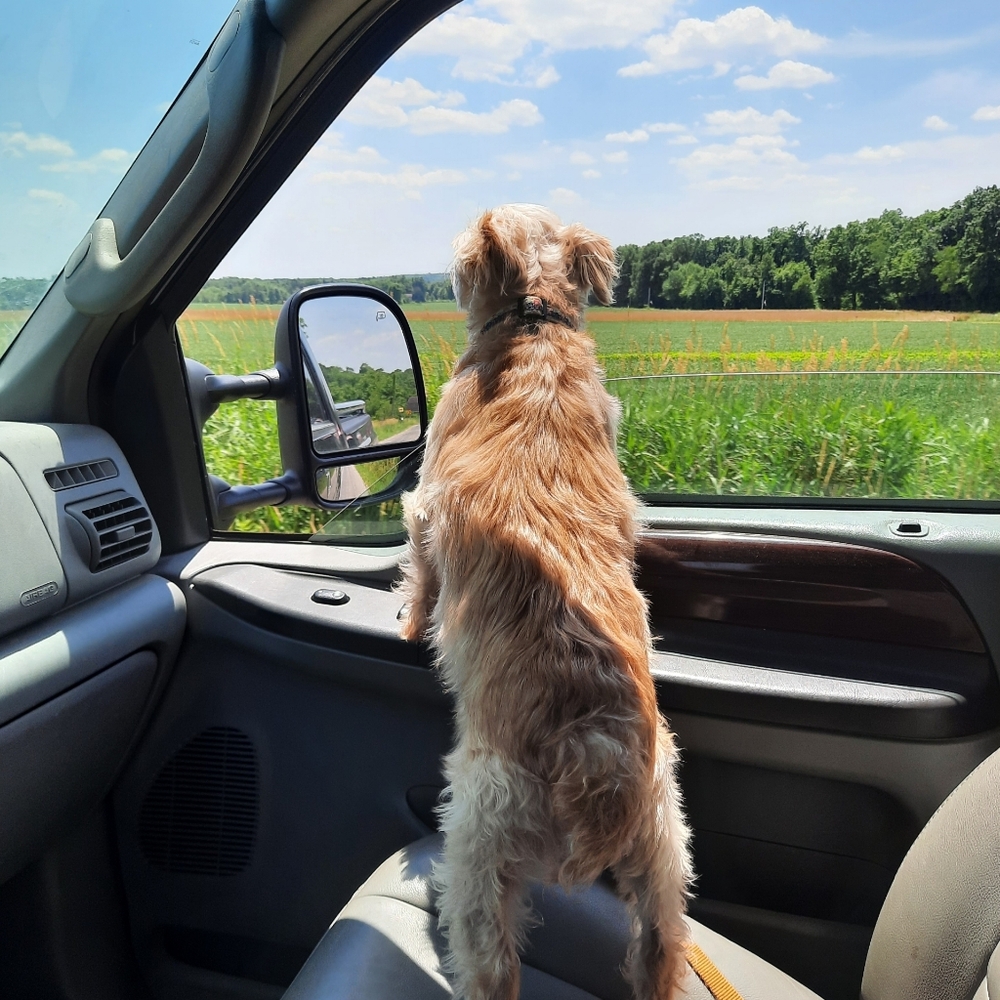 Meet your Posher, Mindi